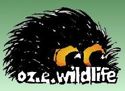 OZe Wildlife - Accommodation Sunshine Coast 0