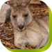 Calmsley Hill City Farm - Accommodation Sunshine Coast 0
