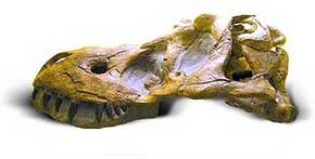 Australia Walkabout Wildlife Park - Accommodation Sunshine Coast 2