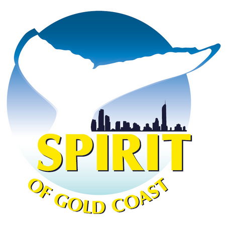 Spirit Of Gold Coast Whale Watching - Accommodation Sunshine Coast 0