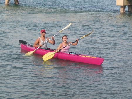Swan Boat Hire - Accommodation Sunshine Coast 2