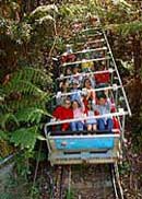 Scenic World Blue Mountains - Accommodation Sunshine Coast 2