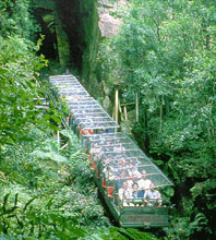 Scenic World Blue Mountains - Accommodation Sunshine Coast 3