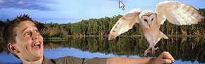 Territory Wildlife Park - Accommodation Sunshine Coast 2