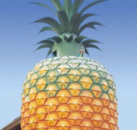 The Big Pineapple - Accommodation Sunshine Coast
