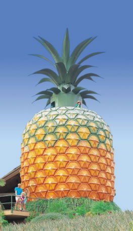 The Big Pineapple - Accommodation Sunshine Coast 0