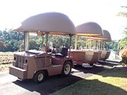 The Big Pineapple - Accommodation Sunshine Coast 2