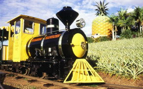 The Big Pineapple - Accommodation Sunshine Coast 3