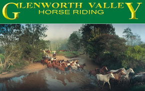 Peats Ridge NSW Accommodation Sunshine Coast