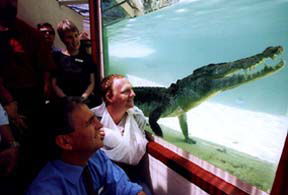Alice Springs Reptile Centre - Accommodation Sunshine Coast 1
