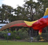Gumbuya Park - Accommodation Sunshine Coast