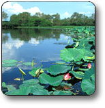 Kakadu National Park - Accommodation Sunshine Coast 3