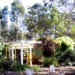 Koala Conservation Centre - Accommodation Sunshine Coast 1