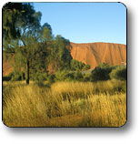 Erldunda NT Accommodation Sunshine Coast