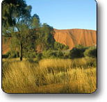 Uluru - Kata Tjuta National Park - Accommodation Sunshine Coast
