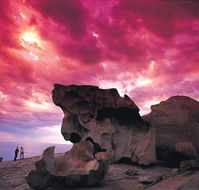 Kangaroo Island Adventure Tour 2 day/1 night - Accommodation Sunshine Coast