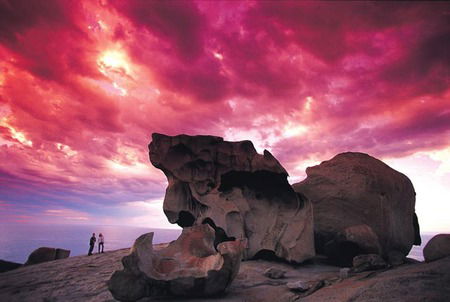 Kangaroo Island Adventure Tour 2 Day/1 Night - Accommodation Sunshine Coast 0