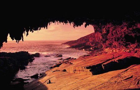 Kangaroo Island Adventure Tour 2 Day/1 Night - Accommodation Sunshine Coast 2