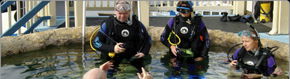 Scuba World - Accommodation Sunshine Coast 2