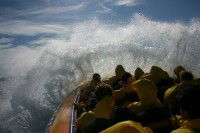 Jetboating Sydney - Accommodation Sunshine Coast 1