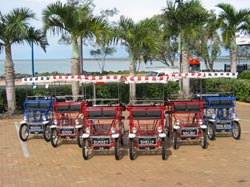 Beach Safaris - Accommodation Sunshine Coast 1