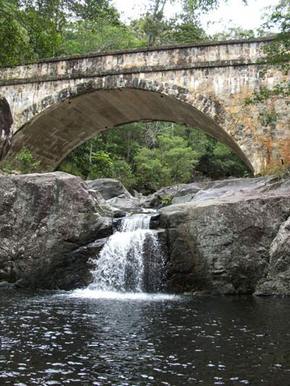 Kookaburra Tours - Accommodation Sunshine Coast 3