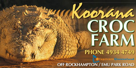 Koorana Saltwater Crocodile Farm - Accommodation Sunshine Coast 0