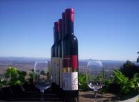 Mount Tamborine Winery & Homestead - Accommodation Sunshine Coast 0