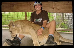 Cairns Wildlife Safari Reserve - Accommodation Sunshine Coast 1