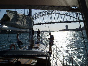 Kalypso Cruises - Accommodation Sunshine Coast 2