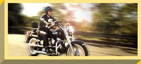 Easy Rider - Accommodation Sunshine Coast 1