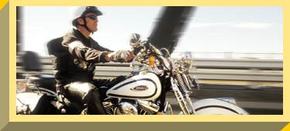 Easy Rider - Accommodation Sunshine Coast 2