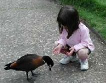 Urimbirra Wildlife Park - Accommodation Sunshine Coast 3