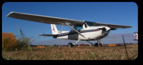 The Aeroplane Company - Accommodation Sunshine Coast 2
