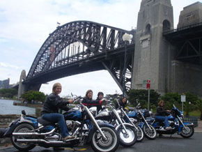 A Wild Ride - Accommodation Sunshine Coast 1
