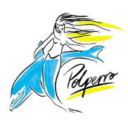 Polperro Dolphin Swims - Accommodation Sunshine Coast