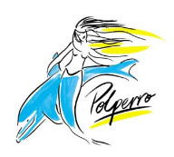 Polperro Dolphin Swims - Accommodation Sunshine Coast 0