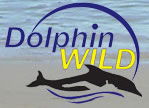 Dolphin Wild - Accommodation Sunshine Coast 0