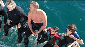Dolphcom - Dolphin & Whale Swimming Adventures - Accommodation Sunshine Coast 2