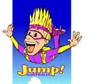 Aerial Skydiving - Accommodation Sunshine Coast 0