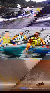 Blackaby's Sea Kayaks And Tours - Accommodation Sunshine Coast 2