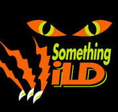 Something Wild - Accommodation Sunshine Coast