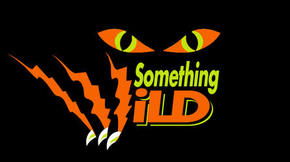 Something Wild - Accommodation Sunshine Coast 0