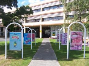 Cadbury Chocolate Factory Tour - Accommodation Sunshine Coast 2