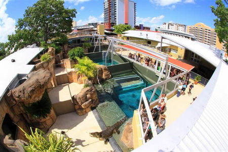 Crocosaurus Cove - Accommodation Sunshine Coast 1