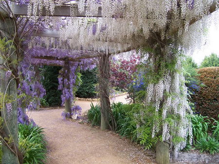 Abingdon Miniature Village - Accommodation Sunshine Coast 0