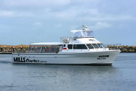 Mills Charters Fishing And Whale Watch Cruises - Accommodation Sunshine Coast 1