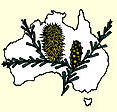 Australian National Botanic Gardens - Accommodation Sunshine Coast