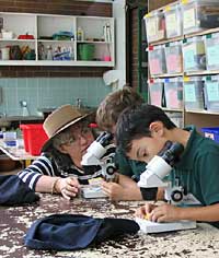 Australian National Botanic Gardens - Accommodation Sunshine Coast 2