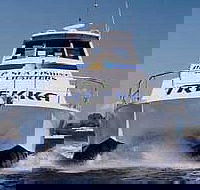 Sunshine Coast Fishing Charters - Accommodation Sunshine Coast